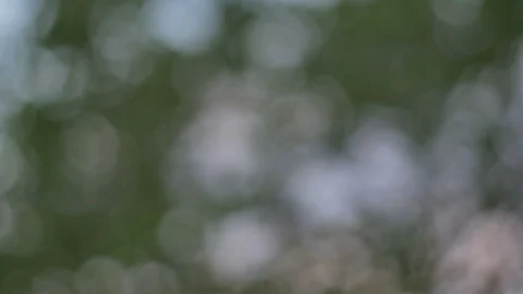 Blurred bokeh light defocused background and textured for holiday new year pa Video stock 99747590