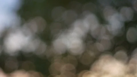 Blurred bokeh light defocused background and textured for holiday new year pa Video stock 99747646