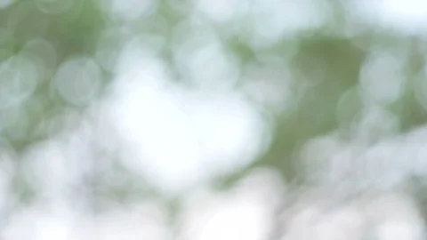 Blurred bokeh light defocused background and textured for holiday new year pa Video stock 99747898