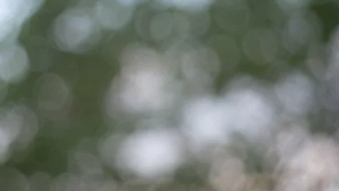 Blurred bokeh light defocused background and textured for holiday new year pa Video stock 99747999