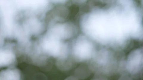 Blurred bokeh light defocused background and textured for holiday new year pa Video stock 99748201