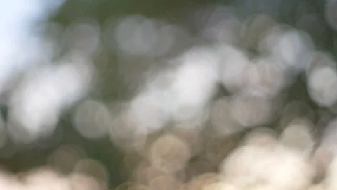 Blurred bokeh light defocused background and textured for holiday new year pa Video stock 99748698