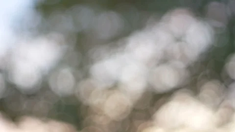 Blurred bokeh light defocused background and textured for holiday new year pa Stock Footage 99748762