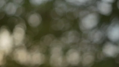 Blurred bokeh light defocused background and textured for holiday new year pa Video stock 99749179