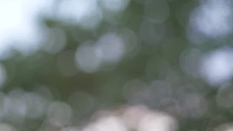 Blurred bokeh light defocused background and textured for holiday new year pa Video stock 99749290