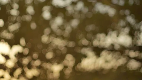 Blurred bokeh light defocused background and textured for holiday new year pa Video stock 99749571