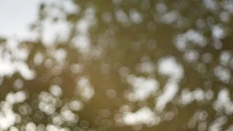 Blurred bokeh light defocused background and textured for holiday new year pa Video stock 99750266