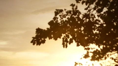 Blurred bokeh light defocused background and textured for holiday new year pa Stock-Footage 99751499