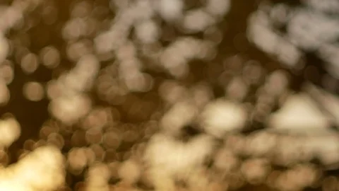 Blurred bokeh light defocused background and textured for holiday new year pa Stock-Footage 99751501