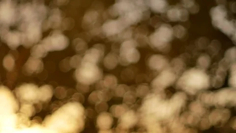 Blurred bokeh light defocused background and textured for holiday new year pa Stock-Footage 99752186