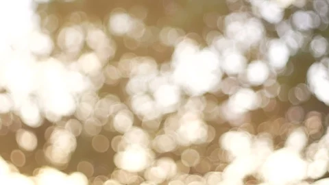Blurred bokeh light defocused background and textured for holiday new year pa Stock-Footage 99752199