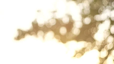 Blurred bokeh light defocused background and textured for holiday new year pa Stock-Footage 99752528