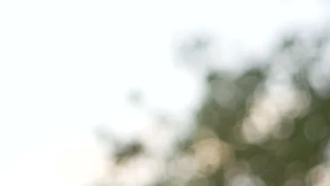 Blurred bokeh light defocused background and textured for holiday new year pa Stock-Footage 99752837