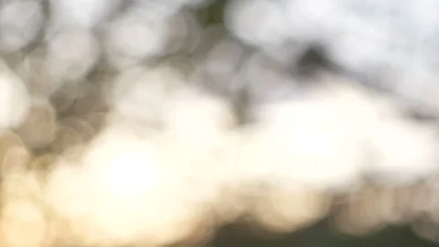 Blurred bokeh light defocused background and textured for holiday new year pa Stock-Footage 99753224