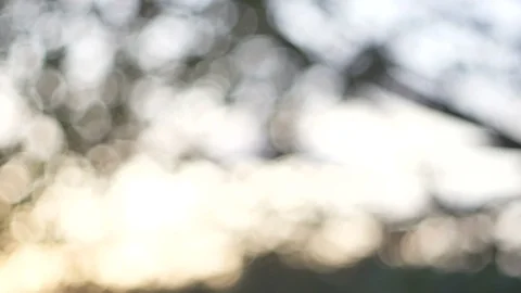 Blurred bokeh light defocused background and textured for holiday new year pa Stock-Footage 99753242