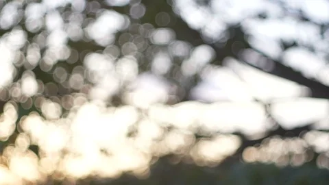 Blurred bokeh light defocused background and textured for holiday new year pa Stock-Footage 99753402