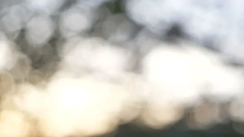 Blurred bokeh light defocused background and textured for holiday new year pa Stock-Footage 99753682