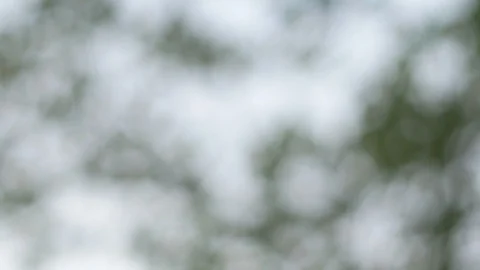 Blurred bokeh light defocused background and textured for holiday new year pa Stock-Footage 99754035