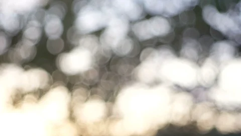 Blurred bokeh light defocused background and textured for holiday new year pa Stock-Footage 99754121