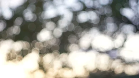 Blurred bokeh light defocused background and textured for holiday new year pa Stock-Footage 99754180