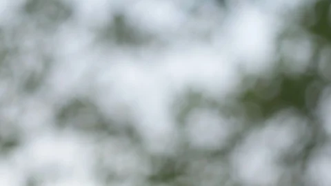 Blurred bokeh light defocused background and textured for holiday new year pa Stock-Footage 99754191