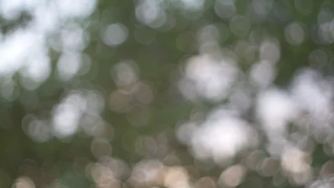 Blurred bokeh light defocused background and textured for holiday new year pa Stock-Footage 99754224