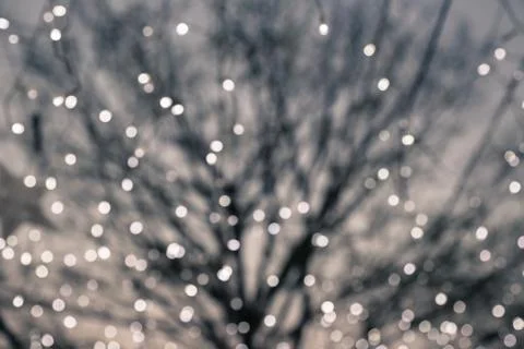 Blurred bokeh lights with deciduous tree on background Stock Photos