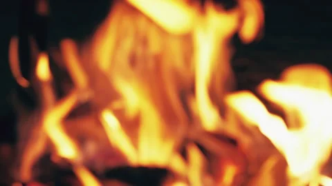 Blurred bonfire burning trees close up. Fire in camping. Orange flames on black Stock Footage 146444136