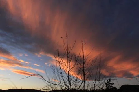 Blurred branches against the clouds background - Bærum Stock Photos
