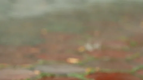 Blurred brick road background with rain dropping  , Chiangmai Thailand   库存影片 136152919