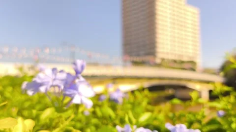 Blurred bridge view Stock Footage 321666033