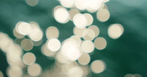 Blurred bright sunlight reflection creates round bokeh patterns on deep green Stock Footage 341446226