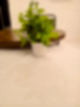 Blurred Cafe Table with Small Potted Plant Stock Photos