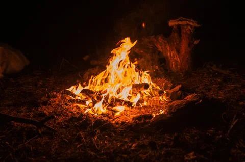 Blurred campfire in the night. bonfire with a burning flame in the dark Stock Photos