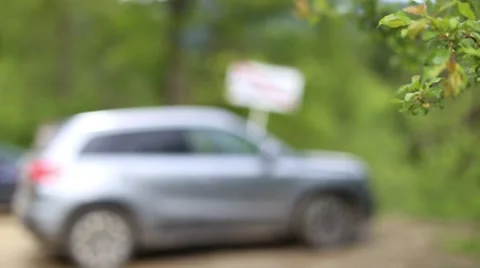Blurred car in the background, moving leaves close-up Stock Footage 63378513