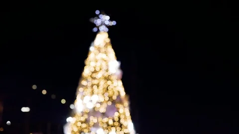 Blurred Christmas tree in bokeh effect on Black Background. Stock Footage 121594051