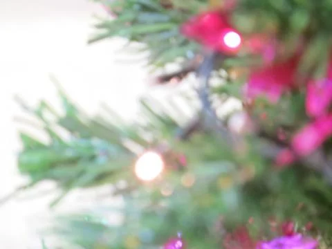 Blurred Christmas tree. Stock Photos