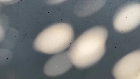 Blurred circle lights, tree shades and sunlight Vidéo 332321968