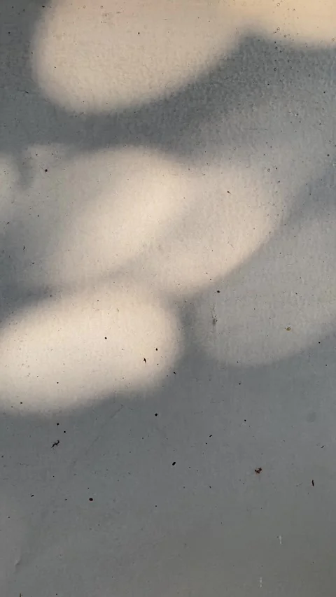 Blurred circle lights, tree shades and sunlight Vídeo Stock 332321969