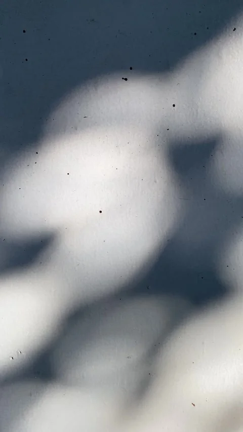 Blurred circle lights, tree shades and sunlight Vidéo 332321973