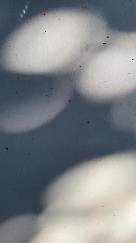 Blurred circle lights, tree shades and sunlight 库存影片 332322010