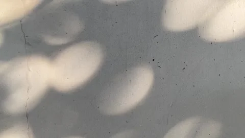 Blurred circle lights, tree shades and sunlight Stock-Footage 332322031