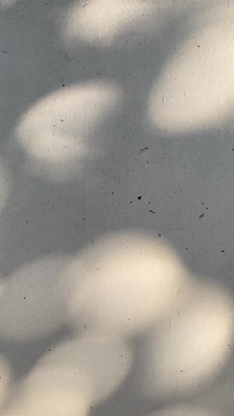 Blurred circle lights, tree shades and sunlight Vídeo Stock 332322040