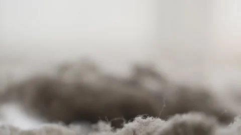 Blurred clump of house dust Stock Footage 263425880