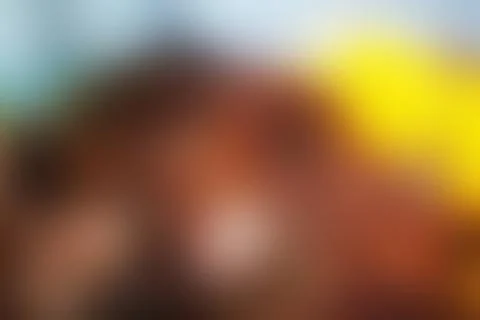 Blurred colored abstract background. Smooth transitions of iridescent color.. Stock Photos