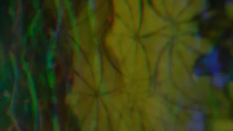 Blurred colored soft creative background, play of colors. 4k resolution. Stock Footage 121002843