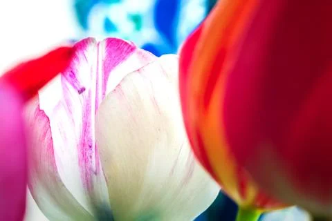 Blurred colorful background Stock Photos