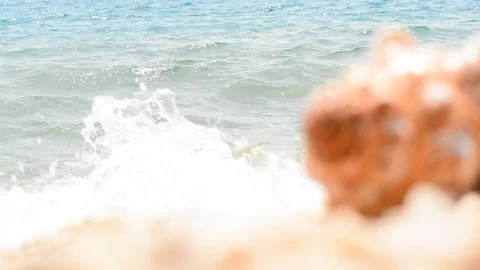 Blurred conch shell with waves on the beach in Croatia - Trogir. Stock Footage 91801965