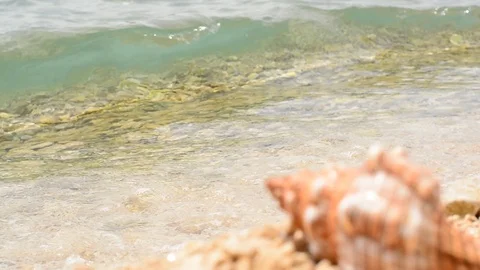Blurred conch shell with waves on the beach in Croatia - Trogir. Stock Footage 91802931
