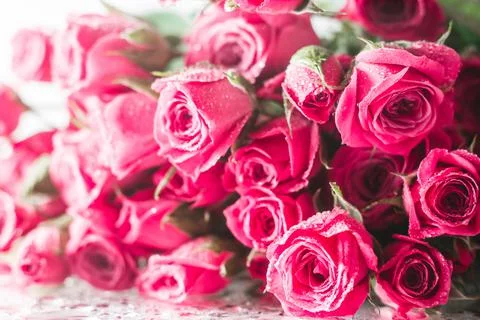 Blurred creative background of pink rose flowers. Partially defocused roses,  Stock Photos